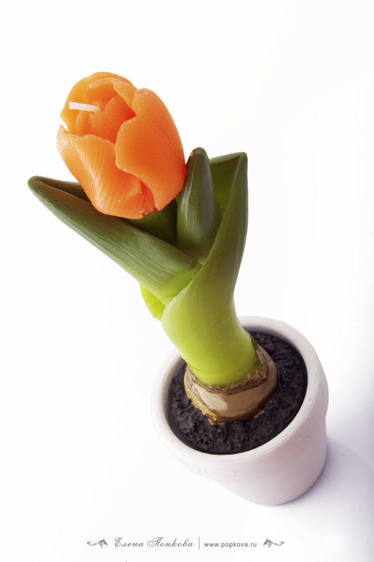 Candle in the form of a tulip