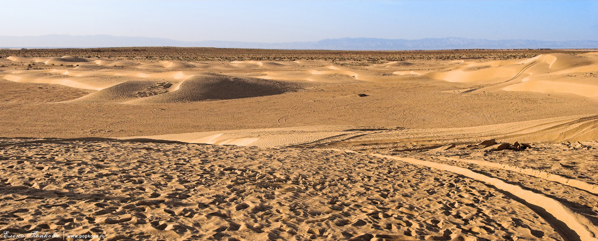 Тунис, Сахара. Следы на песке
