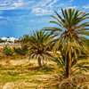 Тунис. Остров Джерба