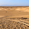 Тунис, Сахара. Следы на песке